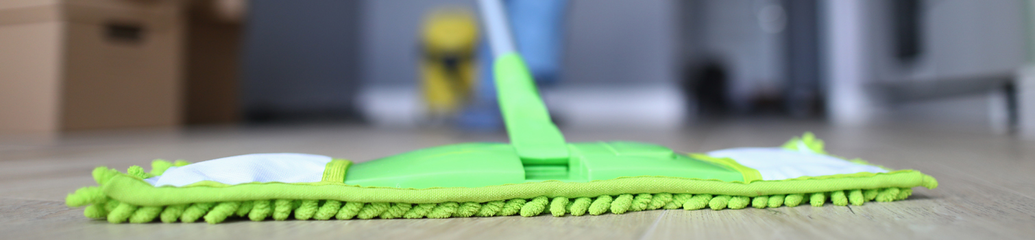 paradise movers – cleaning services