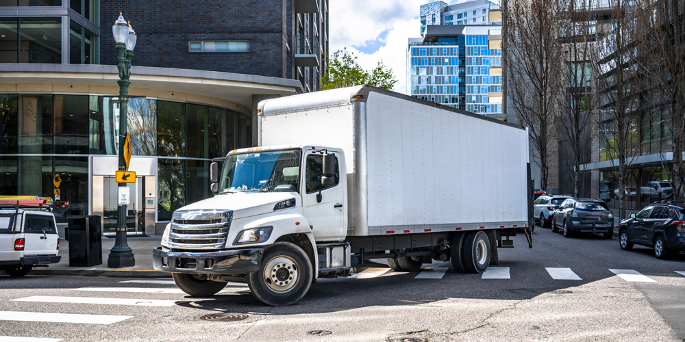 local moving services – paradise movers