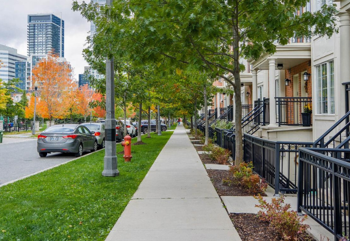 movers-in-north-york